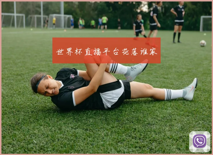 世界杯直播平台花落谁家