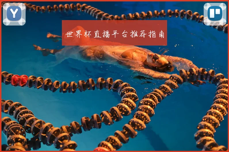 世界杯直播平台推荐指南