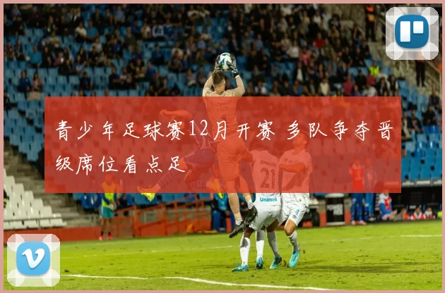 青少年足球赛12月开赛 多队争夺晋级席位看点足